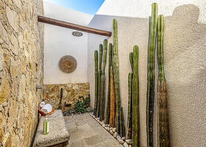 Chic 5br Oceanview With Pool In Pedregal * Cabo San Lucas